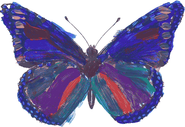 colorfull butterfly
